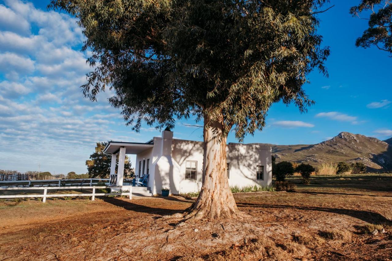 White Water Farm Guest House Stanford Exterior foto