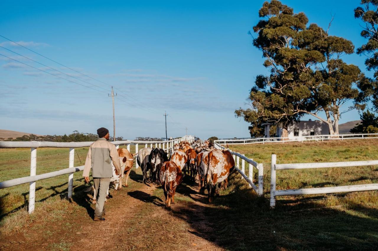 White Water Farm Guest House Stanford Exterior foto